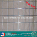 Hot sale 2x2 malha de arame soldada galvanizada para painel de vedação